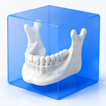 3D yazdırılmış çene biyomodeli